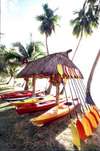 Jean-Michel Cousteau Fiji Islands Resort 